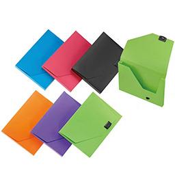 Document Case